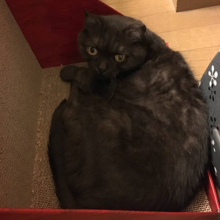 899fbff5 51b5 461b b9e5 488b26df2cec 1532187402711