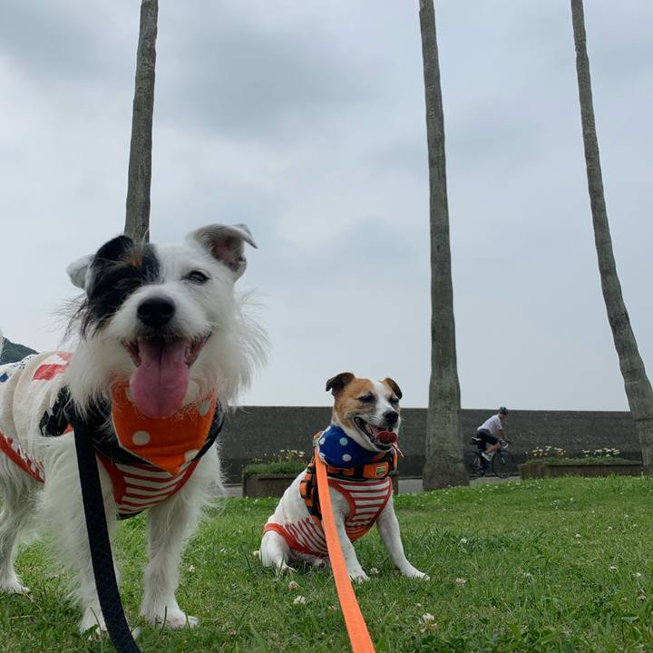 899fca19 dff0 4a2e 8e7f 0e1034bdfa49 1591408231878