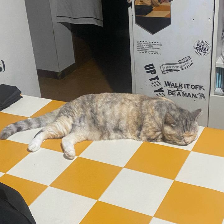 899fe561 fcb3 453e 9e94 bcf9eb5ba447 1723889379887