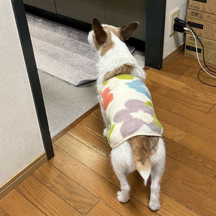 899ffc30 9978 44de 9cf4 53e2df68d0e4 1738975088988