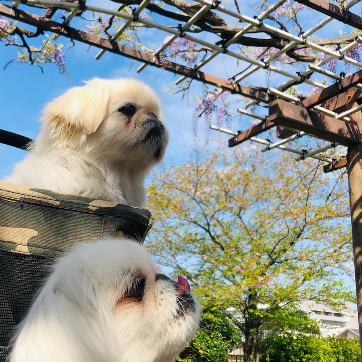 89a09145 f7ae 47b7 95ce 4e5a842c4d0d 1618108785823