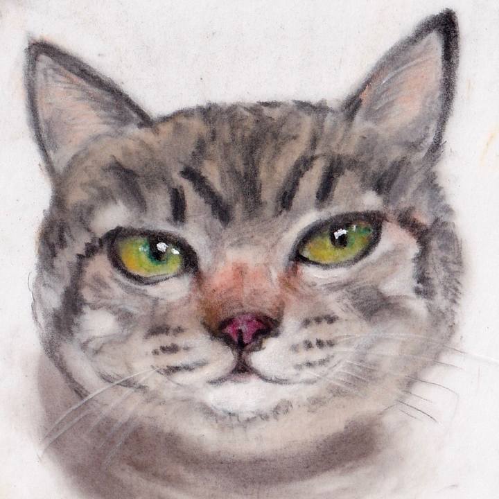 89a10c55 fbb7 4918 adec bae281957c9a 1669076970453