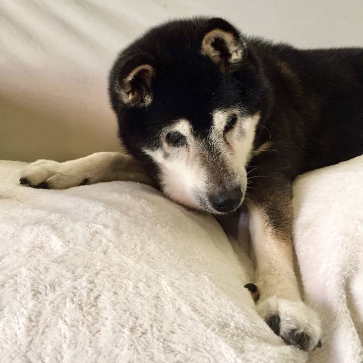 89a10d9e 0657 4442 a4ab 9173b6ee4d01 1547211978902