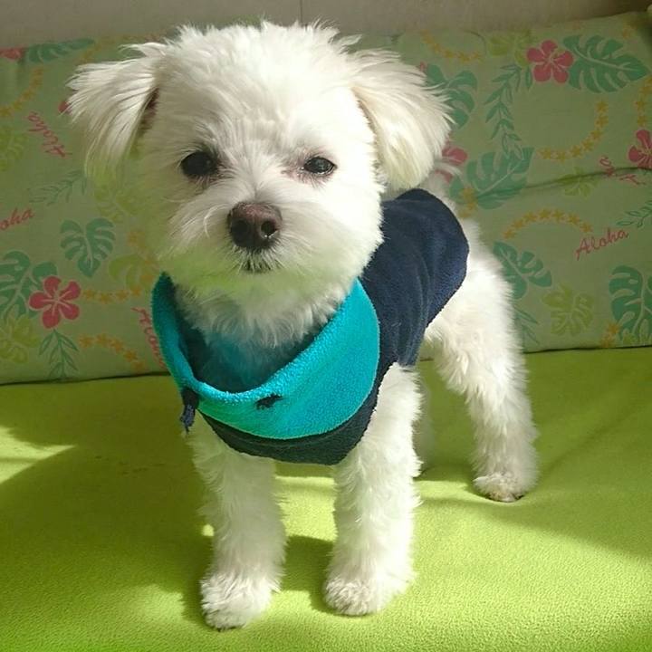 89a13b58 e8e0 4b51 b10a 5572160b1593 1519178068935