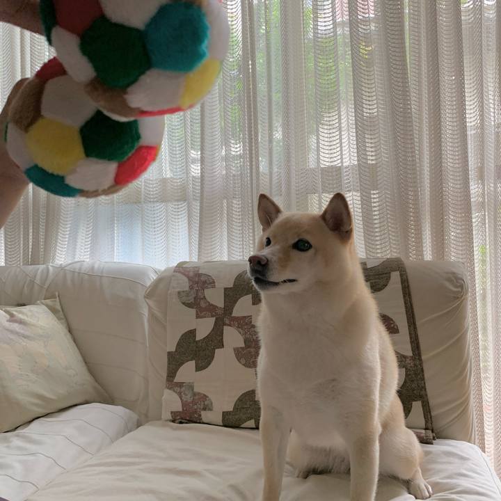 89a17949 5b16 4160 bfa2 6209137a42b4 1629087303465