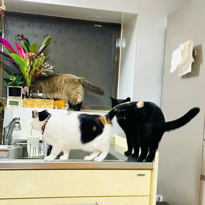 89a1999f b38b 4dd8 aeb3 81621d306444 1681995095393