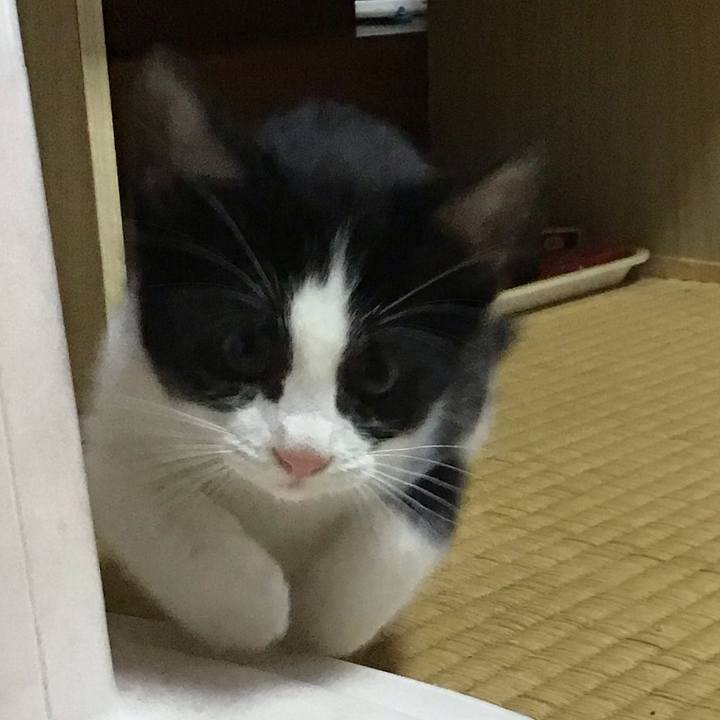 89a1fe89 b259 4804 9f61 0285e6000733 1625198447582