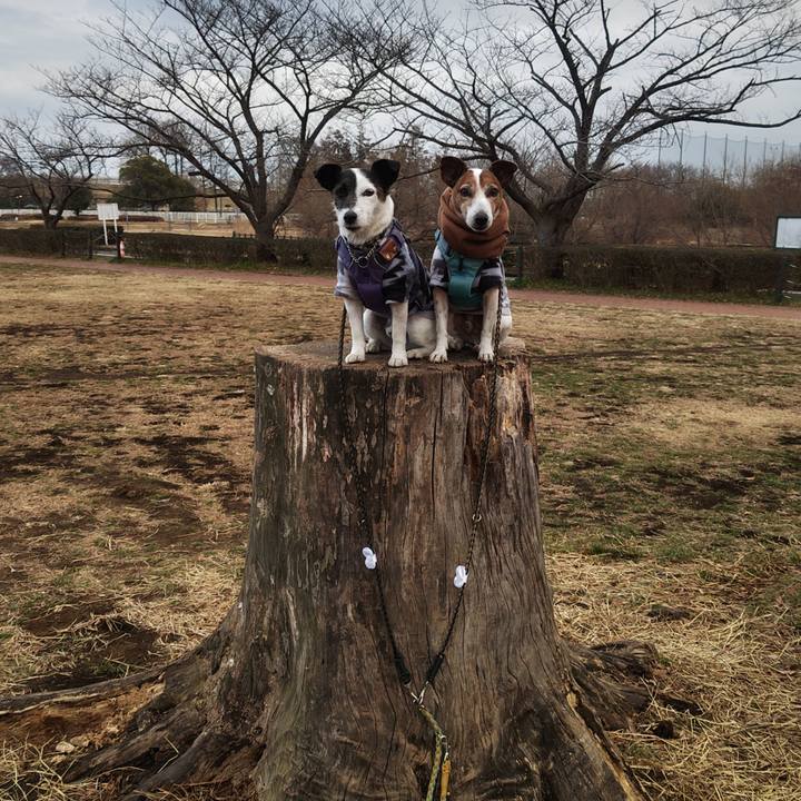 89a28b41 1578 41c8 ae28 a4592574e645 1770903470370