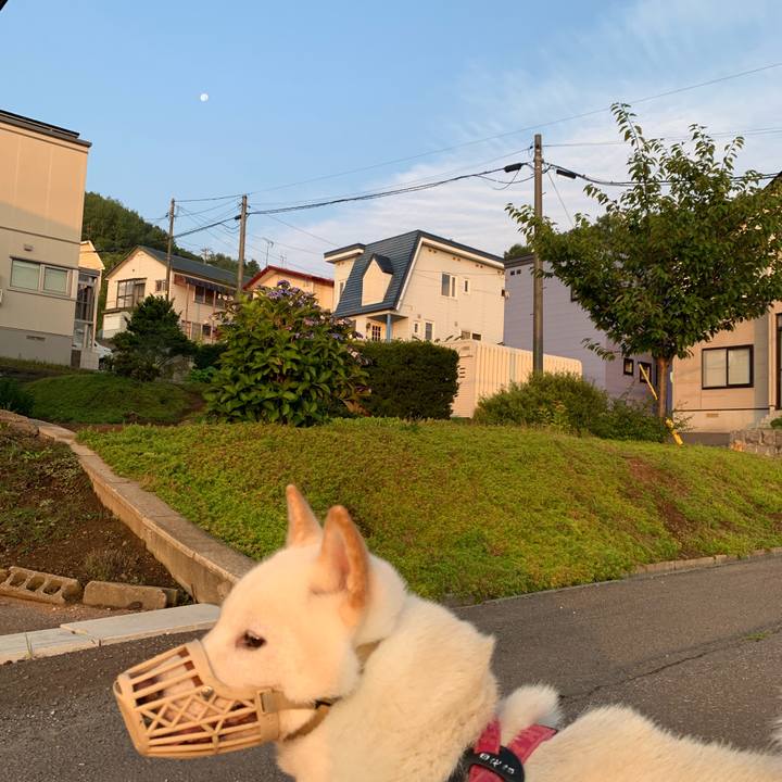 89a29aa0 2837 4814 bba7 3f338fa4f649 1566164615685