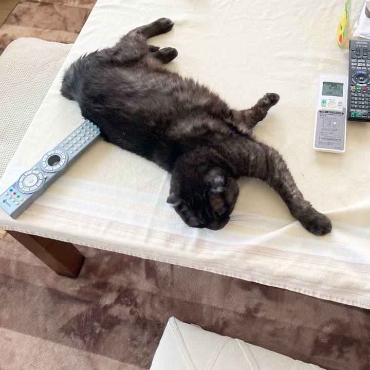 89a2a326 582c 40dc 9b62 04910e8db27b 1592377135347