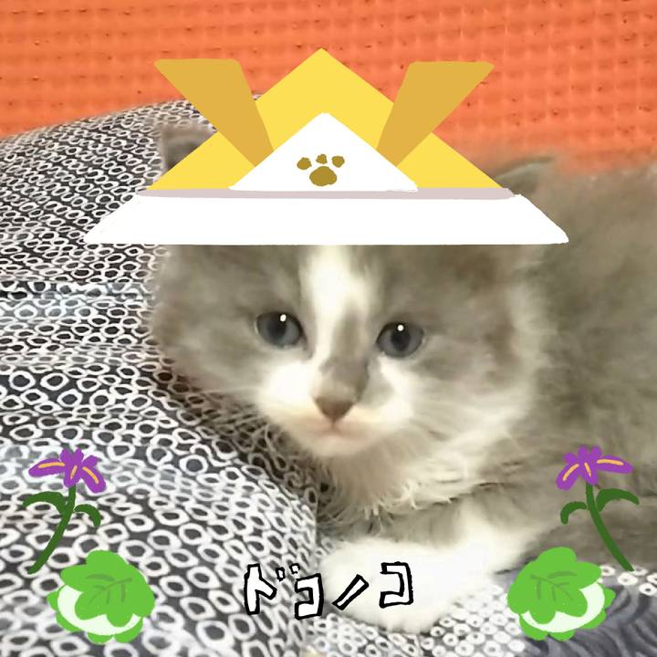 89a2ad8e 3faa 4634 829c ea9559071310 1714963362908