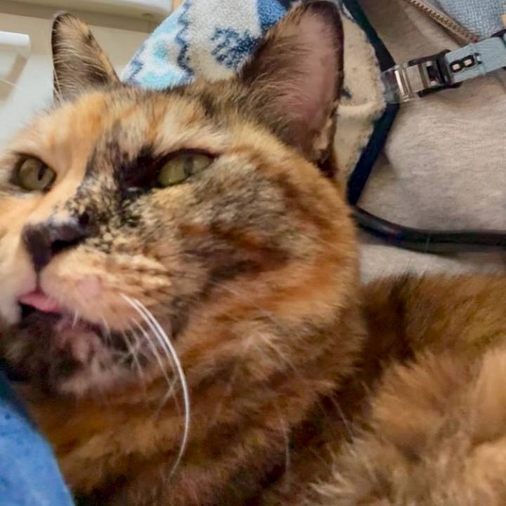 89a2bd77 1b36 48bd a7c0 7e5457b87915 1764935067864