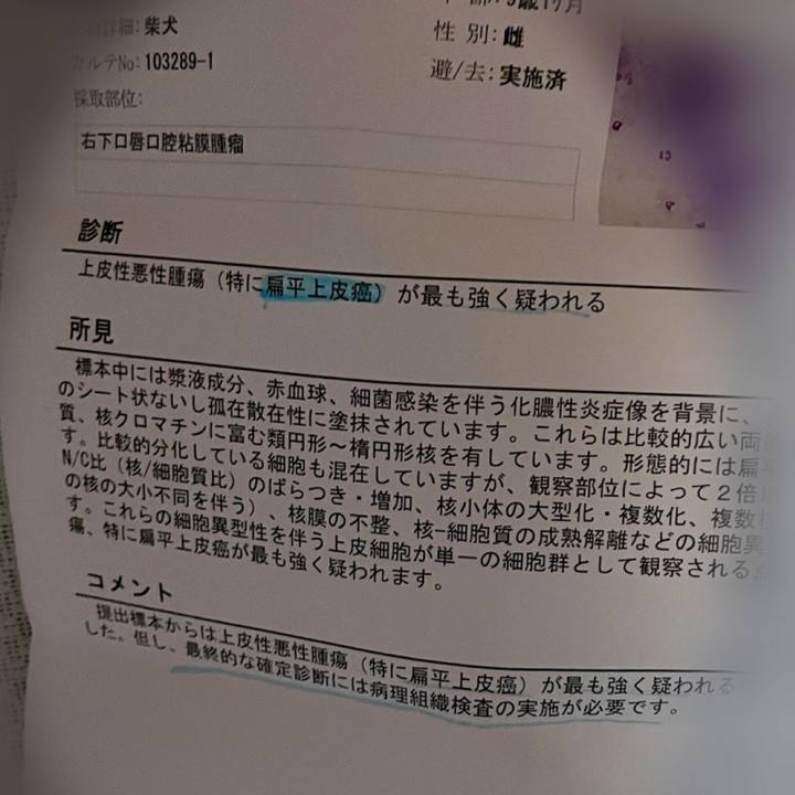 89a2c0ec da1d 4910 b548 cd9c931a6a76 1703765393358