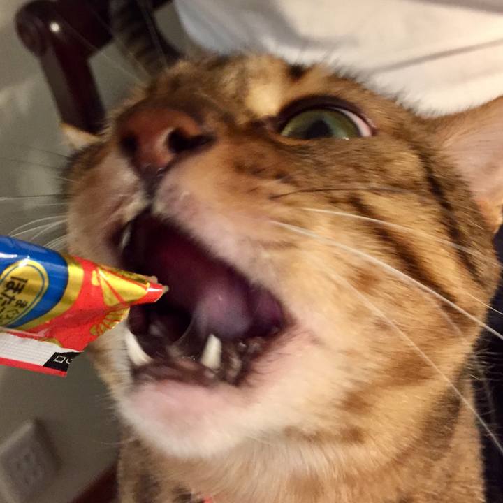 89a2d594 3a19 48b1 900a 685e7270cc81 1529276325347