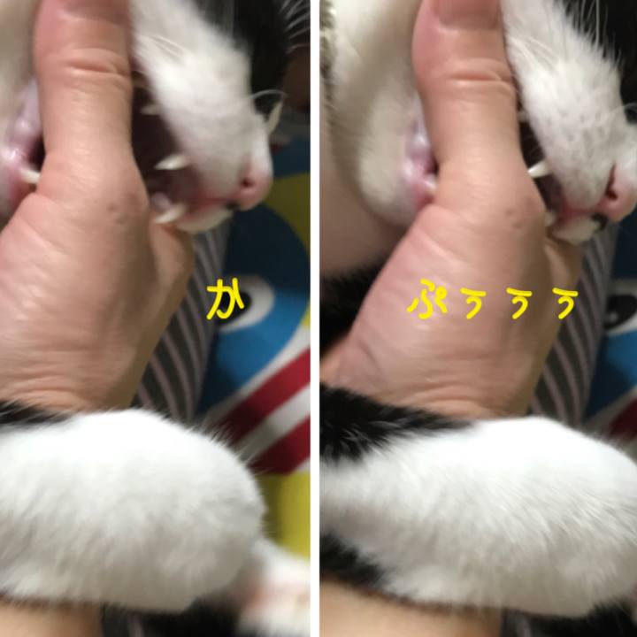 89a30a09 a0e0 41ed 9180 a108cbf6254f 1570787027809