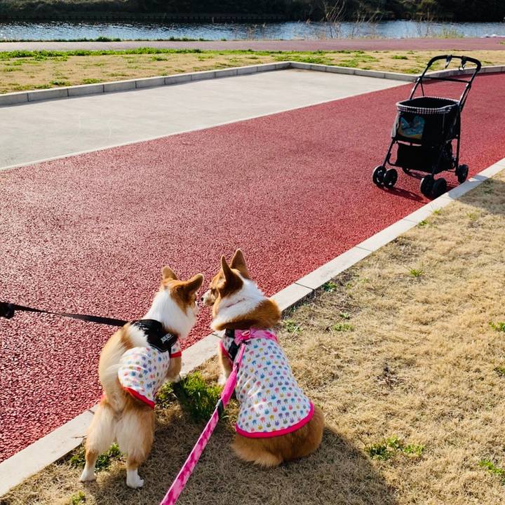 89a330ff 83dd 4a3b a7a6 ae8cfa383cfa 1584330023984