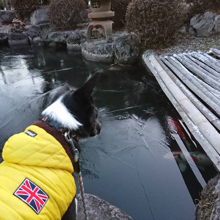 89a33e7b 6650 43dd 8827 2da1208a33f9 1515711026112