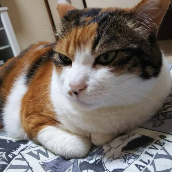 89a34436 2e62 480b a8ee ac4d808e71c9 1527377666874