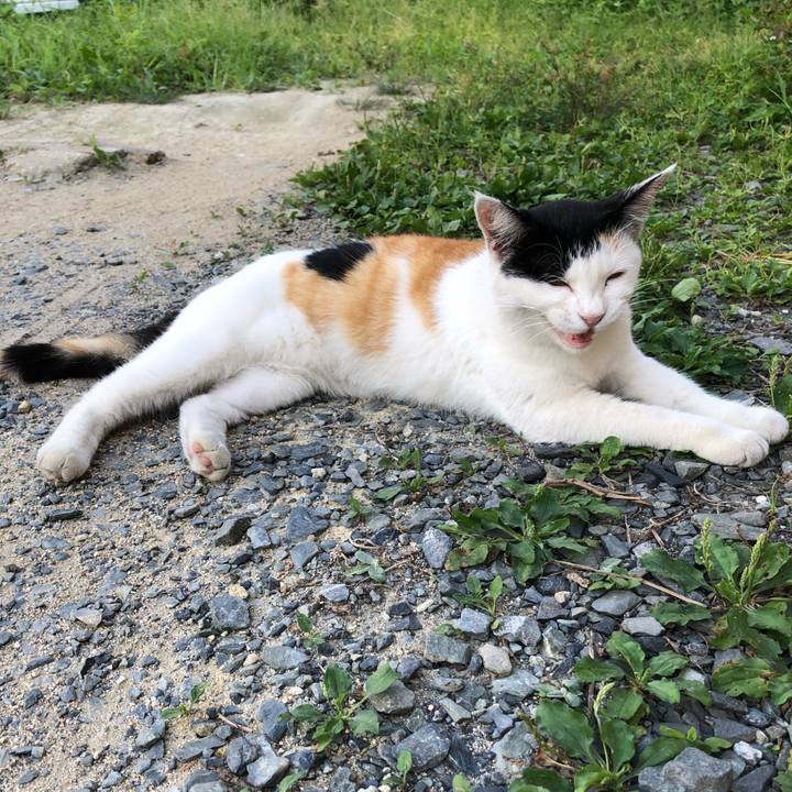 89a364d9 014a 41f6 b5a9 601719369e37 1598880009820