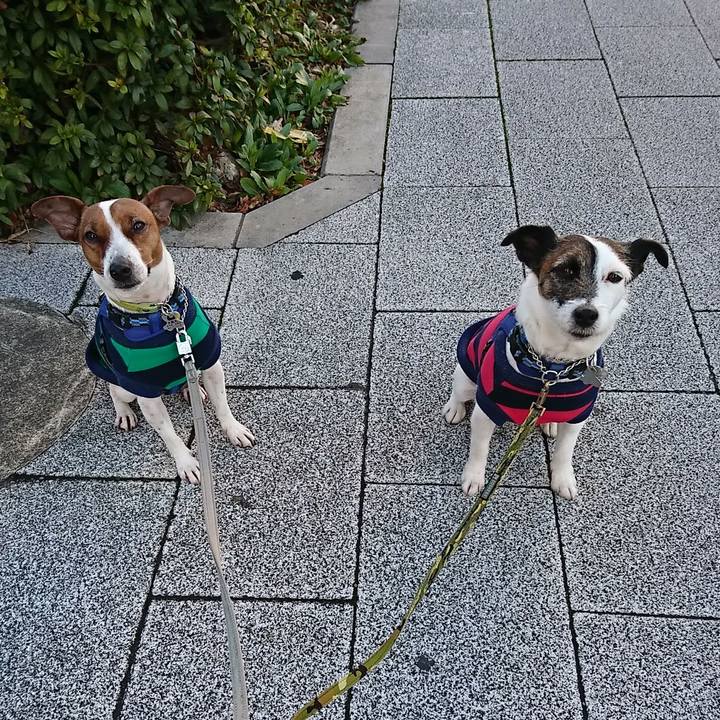 89a3703c 2cde 4b20 9cd6 8654c0686f95 1581978391741