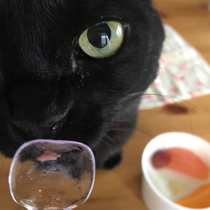 89a379a8 e17a 44ab 8288 cb980d16d3c7 1548160496352