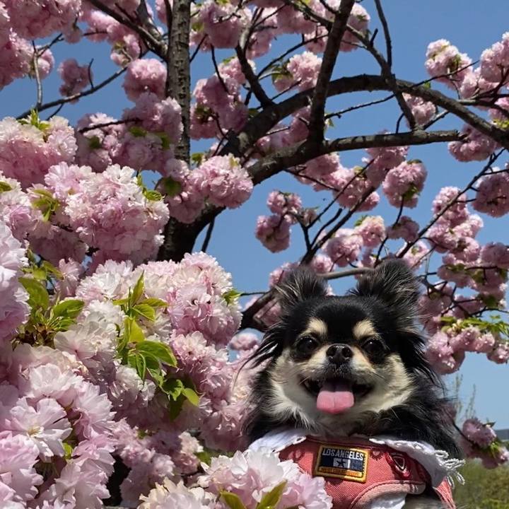 89a38b89 96d7 4a18 b295 393927e51320 1649566898565