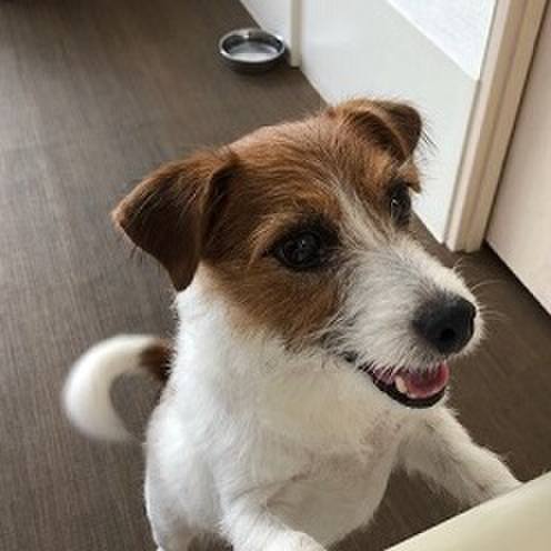 89a38e4e 61ab 465d b1a3 f4bbb7373ab6 1535719471360