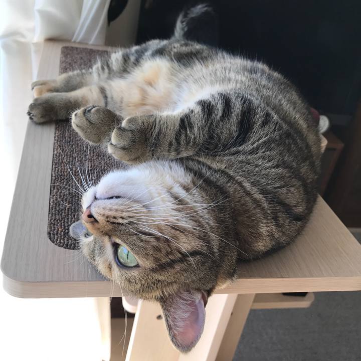 89a3b075 9fa4 4c6d 8ced e13ad89dbc02 1508726455040