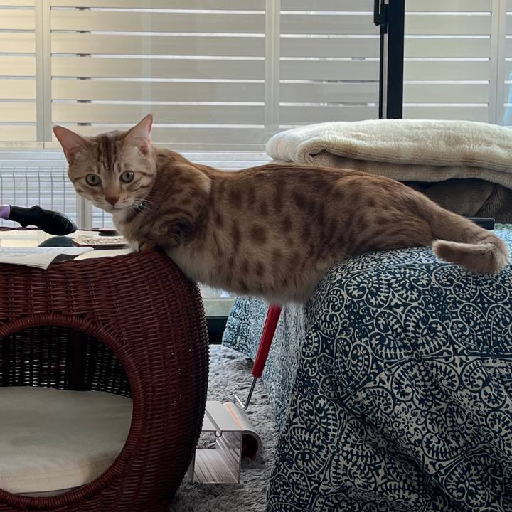 89a3da7c 9175 40ef b944 7ed3ef5d7173 1700265752691