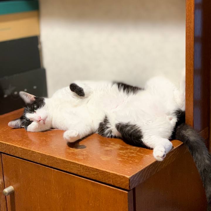 89a42069 1255 4892 9c7c bcad7f801475 1602209441421