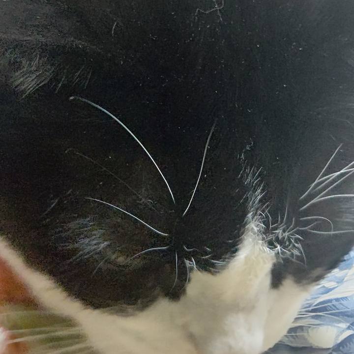 89a44369 5c7e 4b19 830b 4a36f6a1cdb5 1640002449517