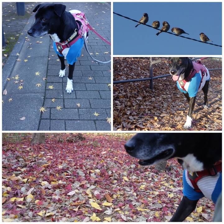 89a46e6a cb70 4fff 947d 374a4a17294e 1702774460025