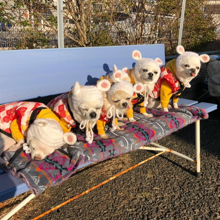 89a49053 dca8 47d7 b287 0529531755e4 1578262127614