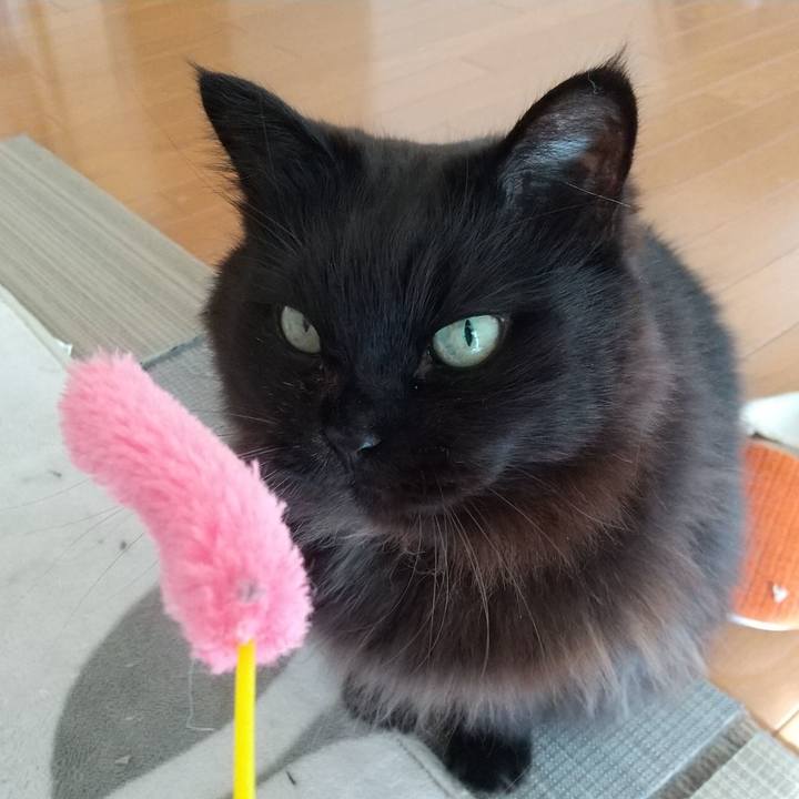 89a4ca13 dbab 400f 8cb6 02f7dcaa1009 1579583892615