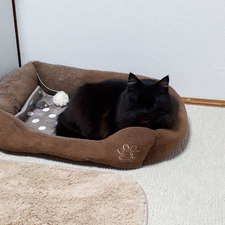 89a536fa aa3a 4692 b228 da4439dd18ac 1517408511353