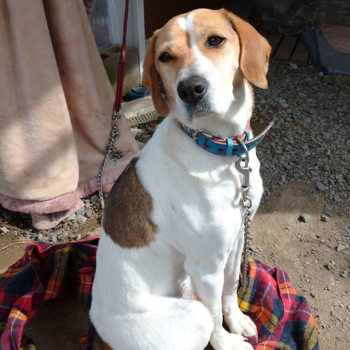 89a537b8 f1cd 4a01 8345 a84c400d80cc 1615266428615