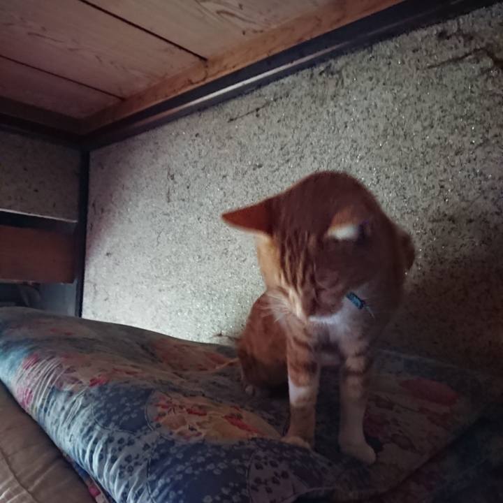 89a55d43 a3cd 4e54 80d9 55d156c32b0e 1602387302643