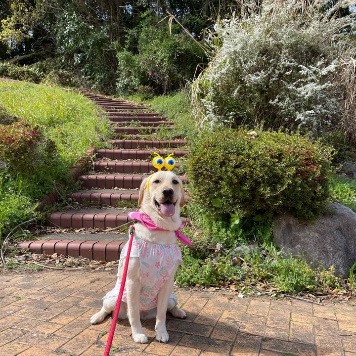 89a56529 eaae 4d33 a7be ea78be6c74be 1648593122378