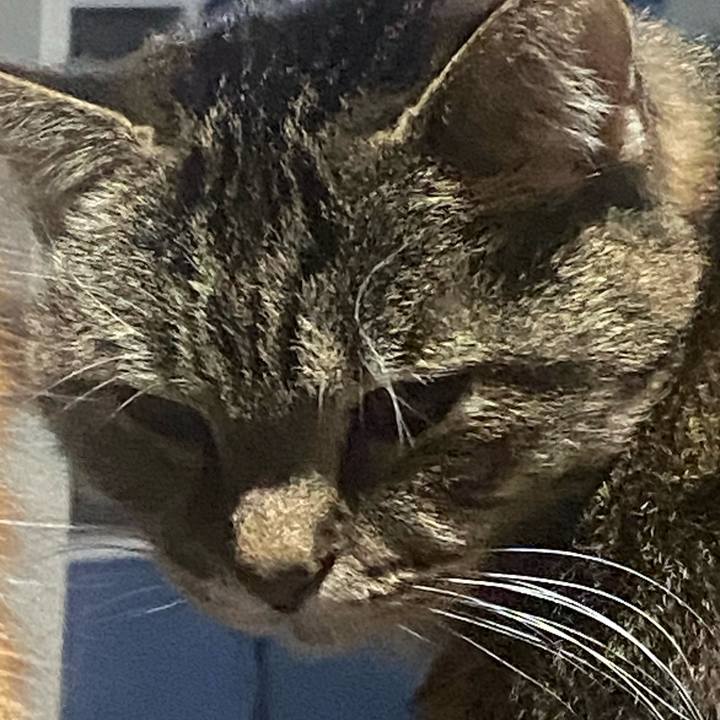 89a5c672 710a 4957 b849 b38b525fc40c 1763672866812