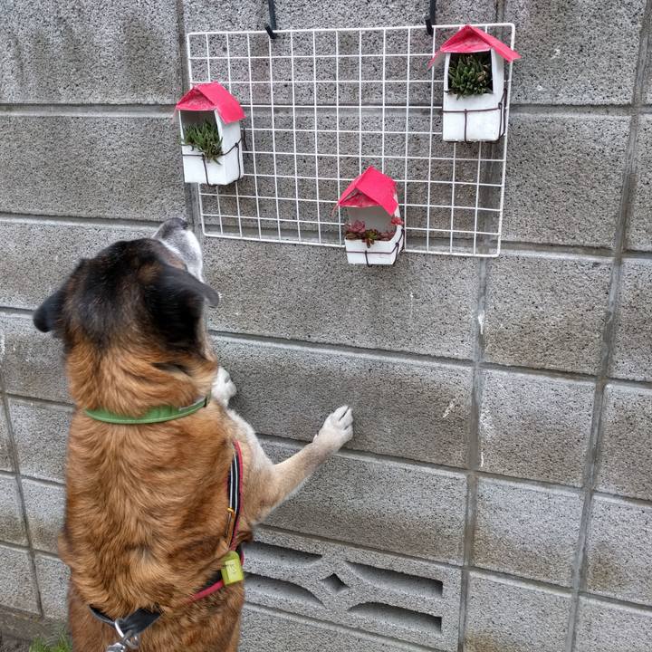 89a5df78 20a1 41c2 8281 35b68e2f8a1b 1543281832750