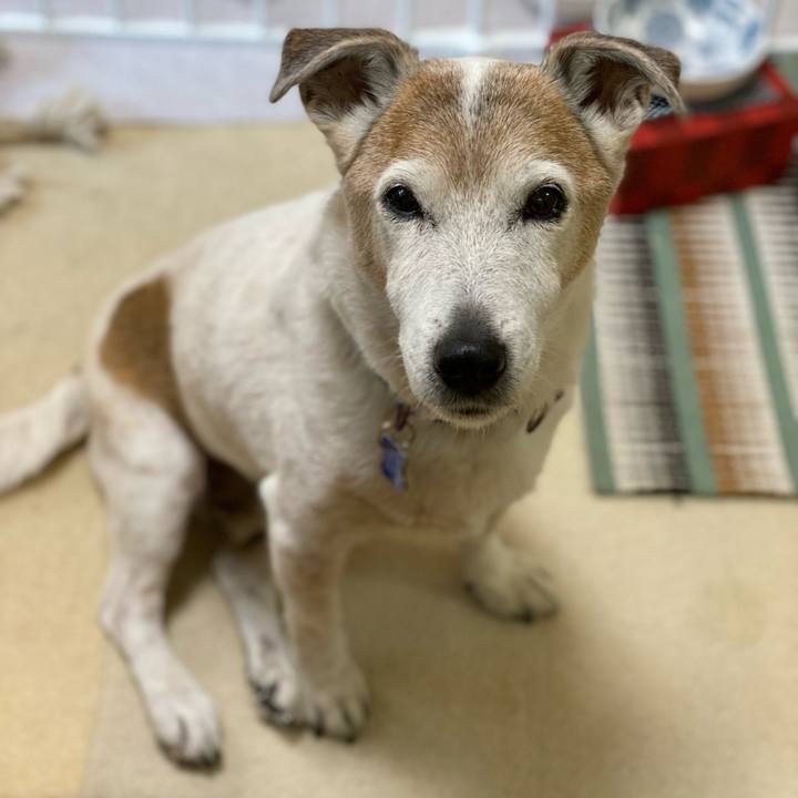 89a5e83c 907d 44f1 b6a5 77a7cb53aee2 1649287721347