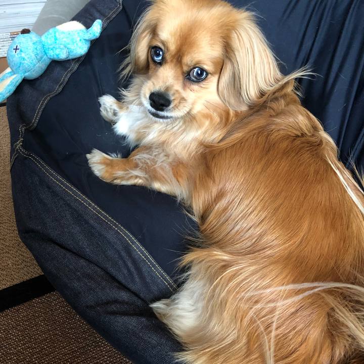 89a63ff9 1917 4a95 9261 28a01e8aae3b 1557101478393