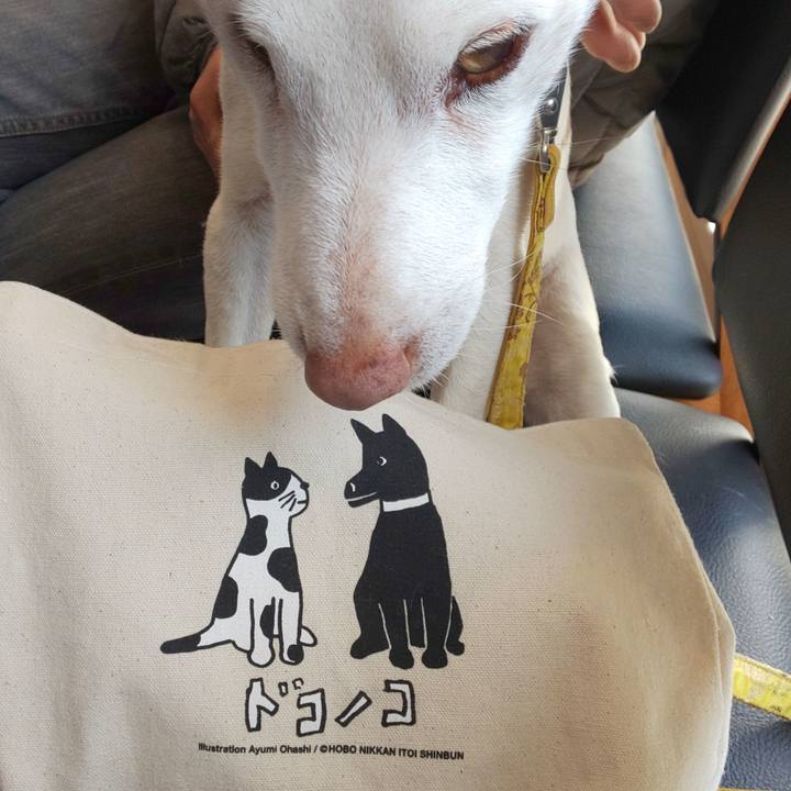 89a6881e db35 4d39 a630 54730bc7d86f 1546134350152