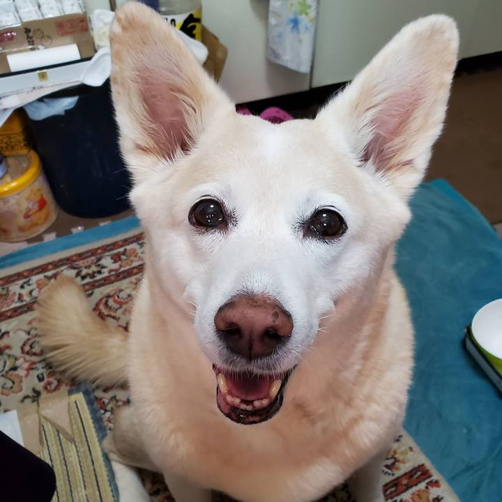 89a6b97a 4f61 4d99 9a41 63384a4c2767 1617474633176