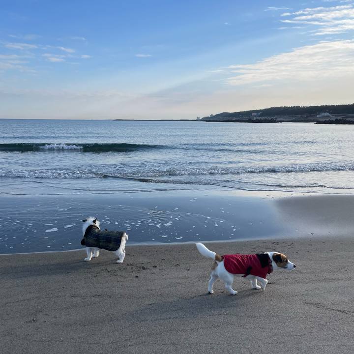 89a6c840 cfb3 4b45 bfd2 9d99d46da288 1678060585418