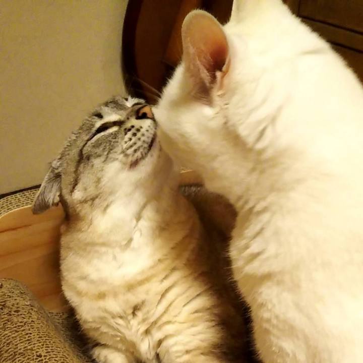 89a6e3e3 f171 4d86 ab84 b0e84bc14e49 1624931701200