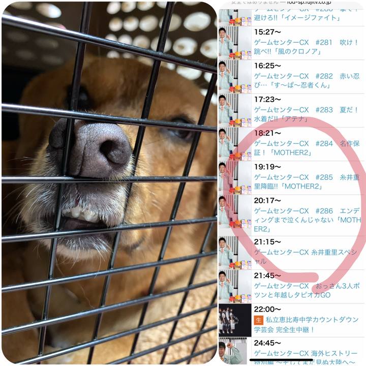 89a75a28 a35f 4c25 8ef3 802d8f2f4270 1577769040992