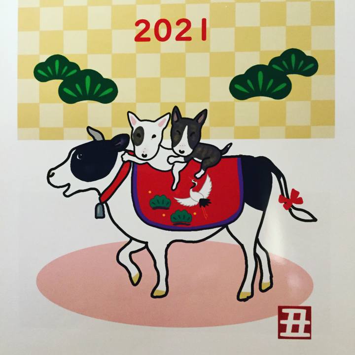 89a75cac b5d4 4d0d 8209 484af7d29393 1609586534174