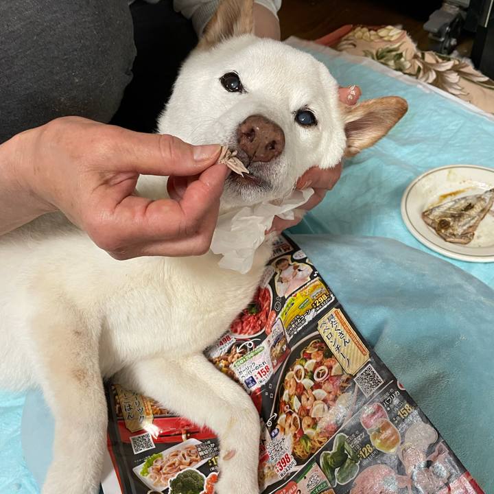 89a77582 0c98 45f1 b8db d1f889b38cf8 1650293803304