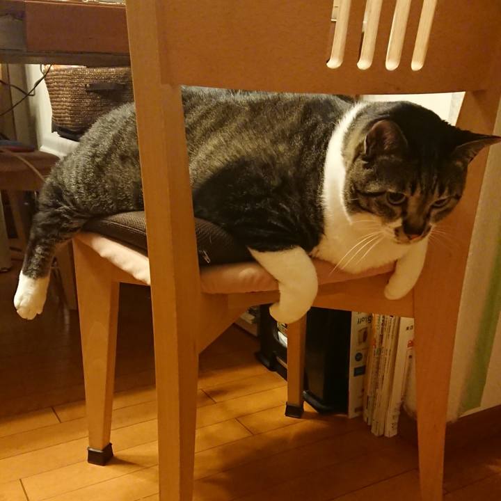 89a78509 f4ad 4b1a 964e 5c33c3a874cb 1527429055926